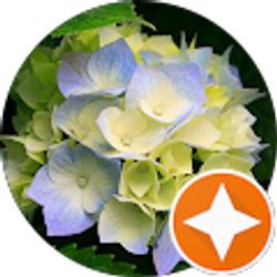 Profile photo of Patricia M