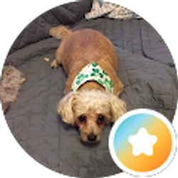 Profile photo of Joni