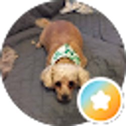 Profile photo of Joni