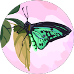 Profile photo of Mari Bozukyan