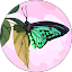 Profile photo of Mari Bozukyan