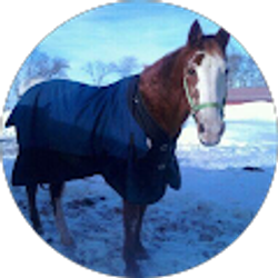 Profile photo of Kaitlyn Audiss