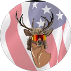 Profile photo of K Stevens