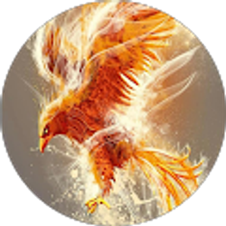 Profile photo of Chris Tinney