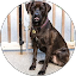 Profile photo of Eric HEGWOOD