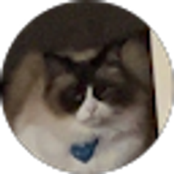 Profile photo of Brooklynn “Brook” Sanders