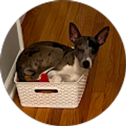 Profile photo of Brice DeMayo