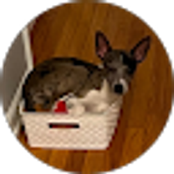 Profile photo of Brice DeMayo