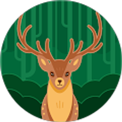 Profile photo of hernan iribarren