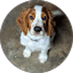 Profile photo of Shelley Traylor