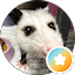 Profile photo of Chase C.