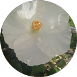 Profile photo of April