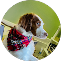 Profile photo of LJ Aber