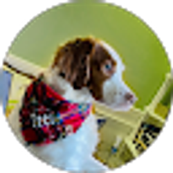 Profile photo of LJ Aber