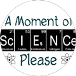 Profile photo of Tina Porath