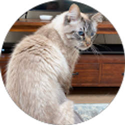 Profile photo of Mehmet H. Goker