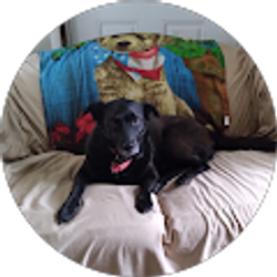 Profile photo of Donna Moore