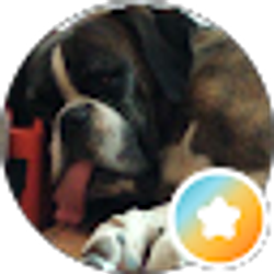 Profile photo of mia leshem