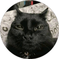 Profile photo of Henrry Languamas