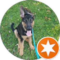 Profile photo of Katie Marie