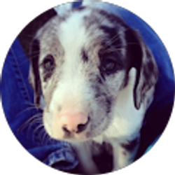 Profile photo of Sarah Lindback