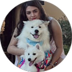 Profile photo of Bahareh Malekan