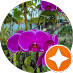 Profile photo of L L