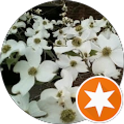 Profile photo of Christine Cella