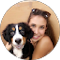 Profile photo of Alexis Stalinsky