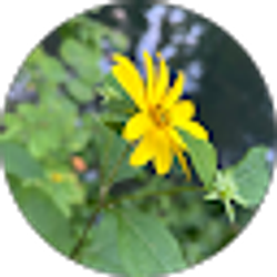 Profile photo of Alli Kreisel