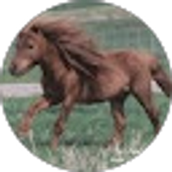 Profile photo of R S