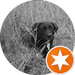 Profile photo of shawn bultrowicz