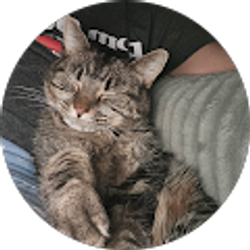 Profile photo of Carla Austin