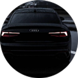 Profile photo of nickolas shaverdian