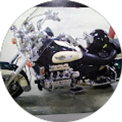 Profile photo of Rock Robinson