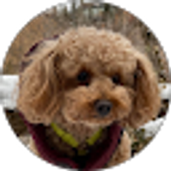 Profile photo of Sean Macklyn