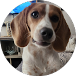 Profile photo of Sandy Reierson