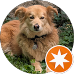 Profile photo of Molly