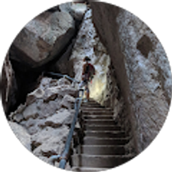 Profile photo of Jennifer Perry