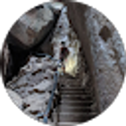 Profile photo of Jennifer Perry