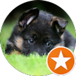 Profile photo of Alexander Wirtz