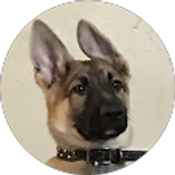 Profile photo of Diego Ibanez