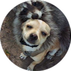 Profile photo of Keith Jordan