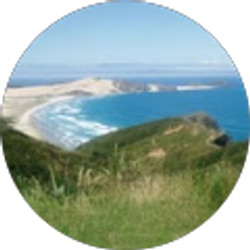 Profile photo of Felicia Allen