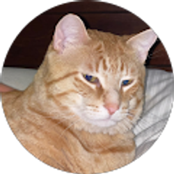 Profile photo of Molly Church