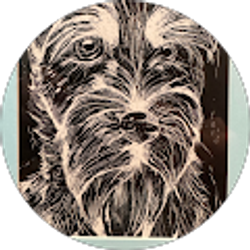 Profile photo of Benjamin