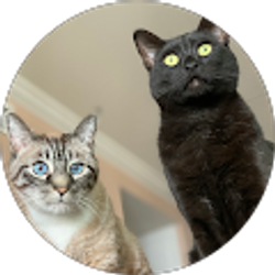 Profile photo of Jacob Liu