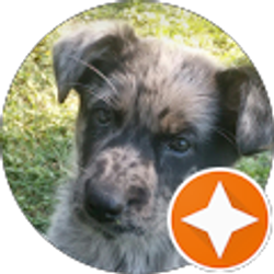 Profile photo of Oscar Ruiz