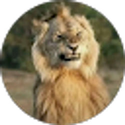 Profile photo of Mr Get it Done