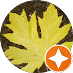 Profile photo of Katherine Iosif